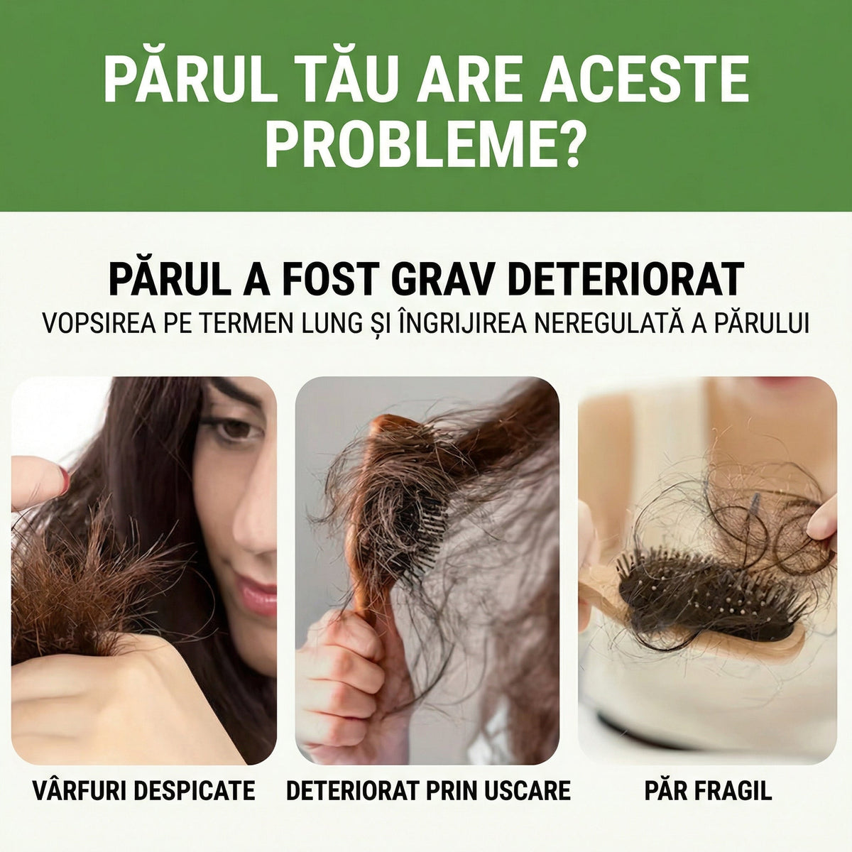 Șampon Solid 3-în-1 – Ofertele Zilei